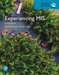 EBOOK : Experiencing Management Information System, 8th edition